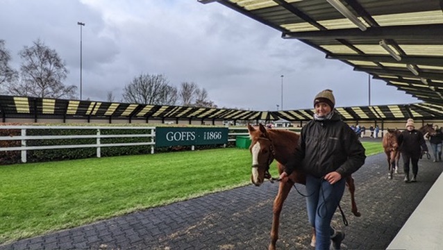 At the Goffs sales